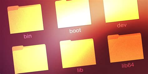 Root Folder 的图像结果