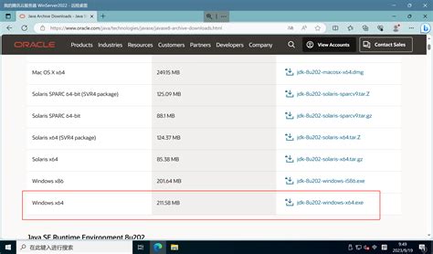 Java JDK 8 Window 7 32-Bit 的图像结果