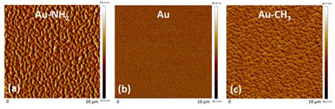 Adsorption and Structuration of PEG Thin Films: Influence of the ...