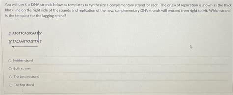 DNA Replication Strand 的图像结果