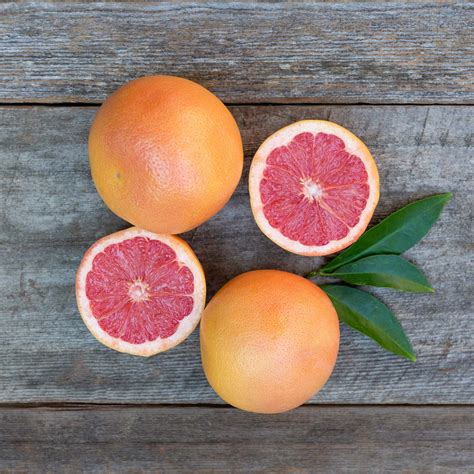 Organic Ruby Red Grapefruits – Frog Hollow Farm
