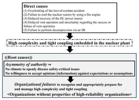 On the Root Causes of the Fukushima Daiichi Disaster from the ...