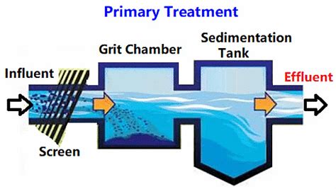 Microbes in Sewage Treatment and in Production of Biogas - Biology ...