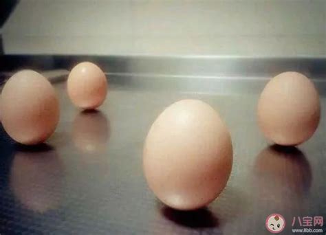 春分立蛋的由来,春分鸡蛋为什么能立起来-45看点