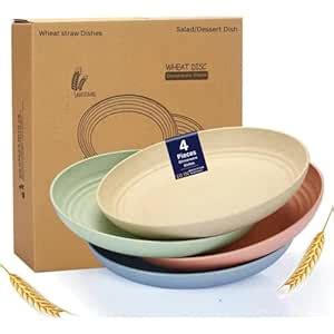 Buy Turbid 10 Inch (4PCS) Deep Dinner Plates Alternative for Plates ...