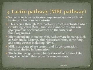 Image result for MBL Pathway Complement System