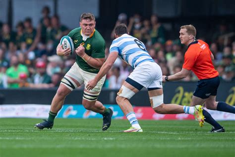 Image result for Springbok Rugby Pics