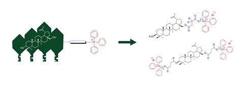 Design, Synthesis and Preliminary Evaluation of the Cytotoxicity and ...