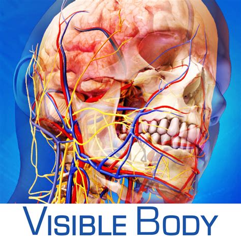 [Medical App] Visible Body Human Anatomy Atlas 3D V. 3.1.0 ~ English-Khmer Medical