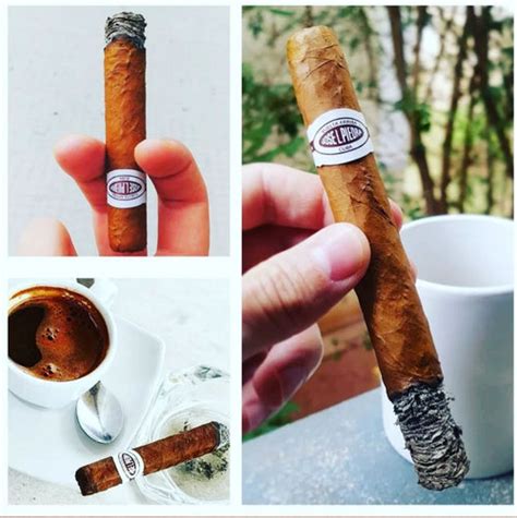 José L. Piedra - www.cigarsindia.in