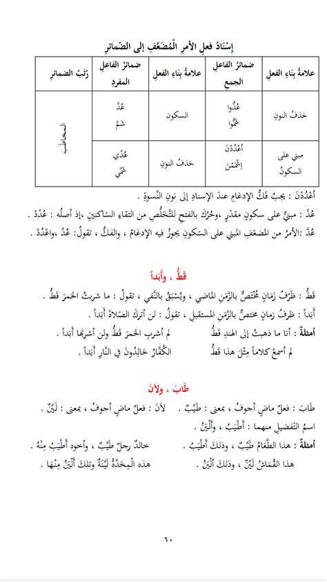 امثلة على فعل الامر