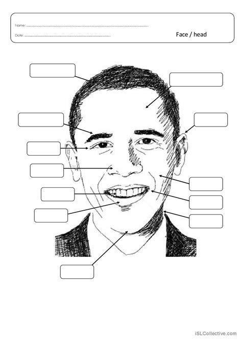 What Are The Parts Of The Head Called at Victor Bartlett blog
