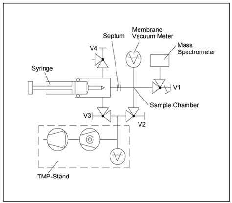 Helium Suicide, a Rapid and Painless Asphyxia: Toxicological Findings