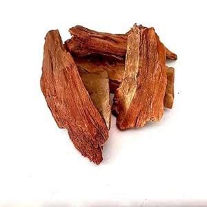 Arjun Chaal - Pure Arjuna Tree (Terminalia Arjuna) Bark for a Healthy ...
