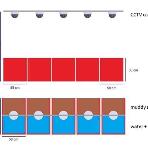 CCTV Camera View 的图像结果