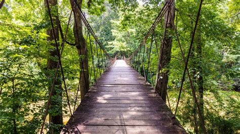 Unique Bridge Park Mississippi: Unforgettable Journey