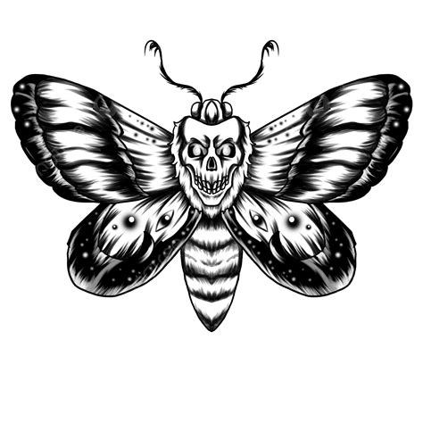Moth with skull tattoo - Tattoosbyjames.com