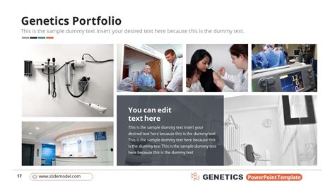Image result for Genetics PowerPoint Template