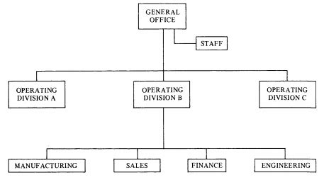 Multidivisional Structure 的图像结果
