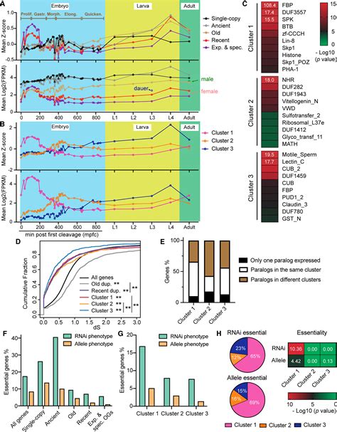 Young duplicate genes show developmental stage- and cell type-specific expression and function ...