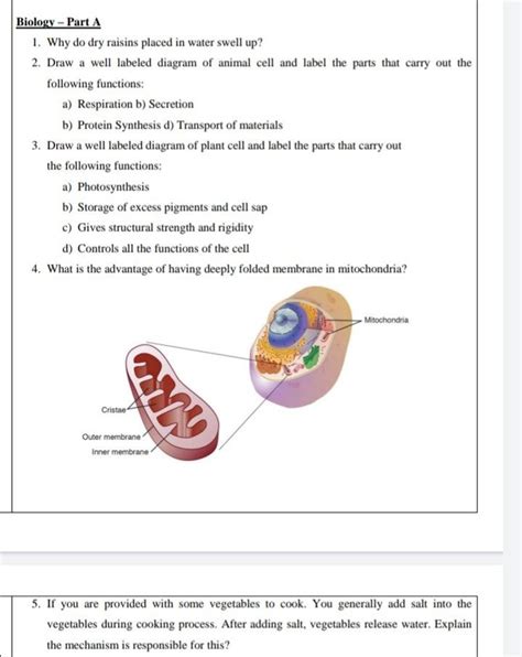 Draw a well labeled diagram of plant cell and label the parts that carry