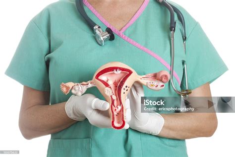 Cervical Cancer Decoded: A Woman's Guide To Early Detection And ...