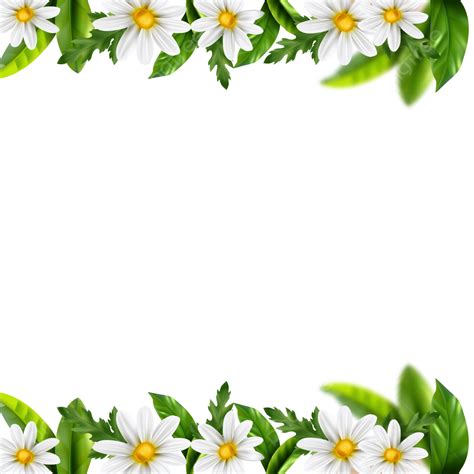 Nature Leaf Leaves And Flower Border Frame Transparent Background, Leaf ...