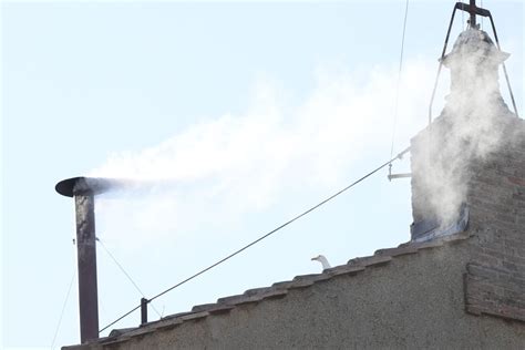 New Pope Elected as White Smoke Emerges from Sistine Chapel | News Journos