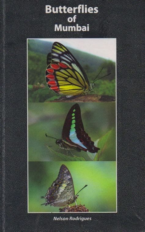 Buy Butterflies of Mumbai Book Online at Low Prices in India ...