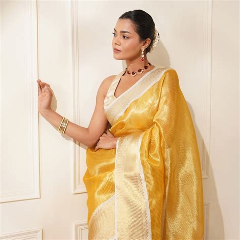 Saree Model Photography for Ecommerce websites & Saree lookbook ...