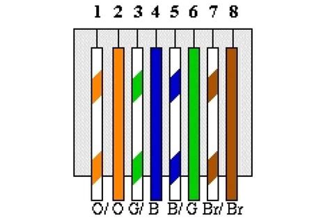 Network Cable Setup 的图像结果