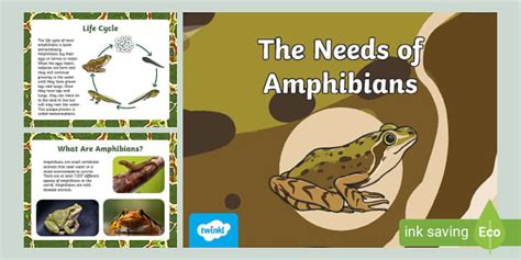 The Needs of Amphibians PowerPoint