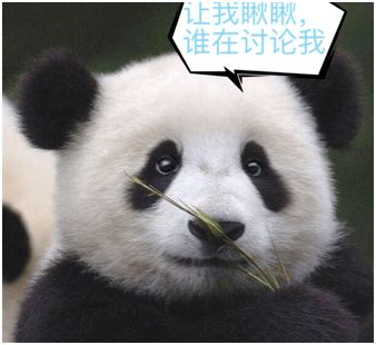 科学真好玩系列之显微镜下的“熊猫血”研学活动回顾丨爱成都 迎大运-搜狐大视野-搜狐新闻