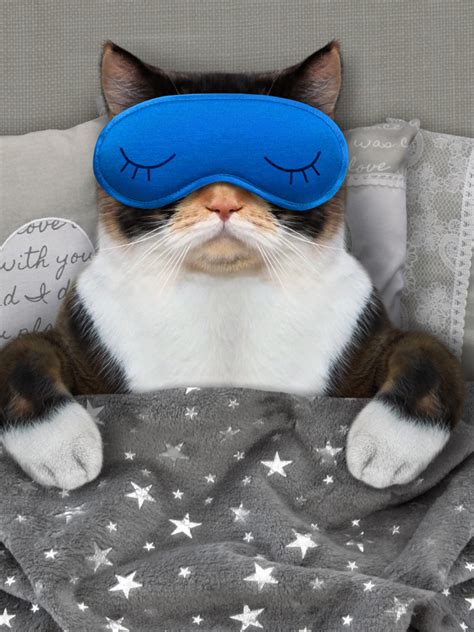 Can a wrong mattress lead to sleep disorders? | Times of India