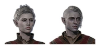 Half-Elf - bg3.wiki
