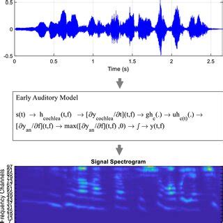 Process Models of the Auditory System 的图像结果
