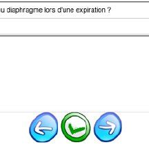Question and Answer Application 的图像结果