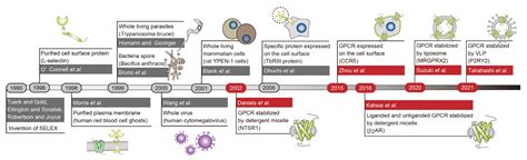 Nucleic Acid Aptamers Emerging as Modulators of G-Protein-Coupled ...