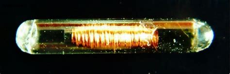 Chip Key 的图像结果