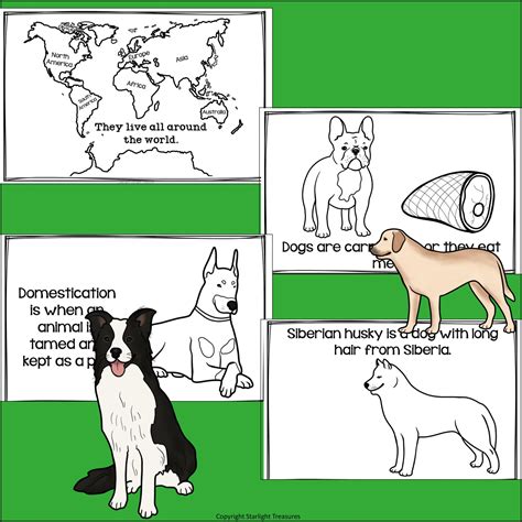 Dogs for 1st Graders Science 的图像结果