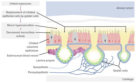 Rhinitis | Concise Medical Knowledge - what is rhinorrhea