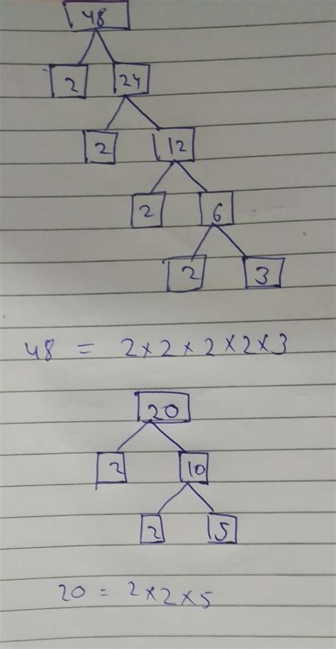 10. b. Find the prime factors of 48 and 20 by prime factorisation ...