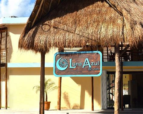 LUNA AZUL BY UVAS (San Miguel de Cozumel) - Lodging Reviews, Photos ...