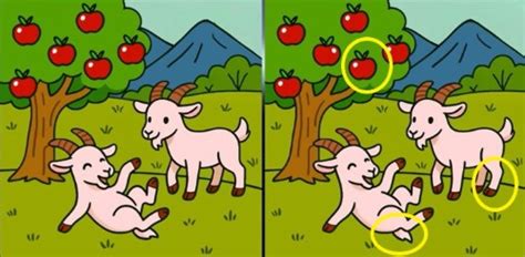 Spot 3 Differences in Goats Playing in Field- Can You Find Them in 21 ...