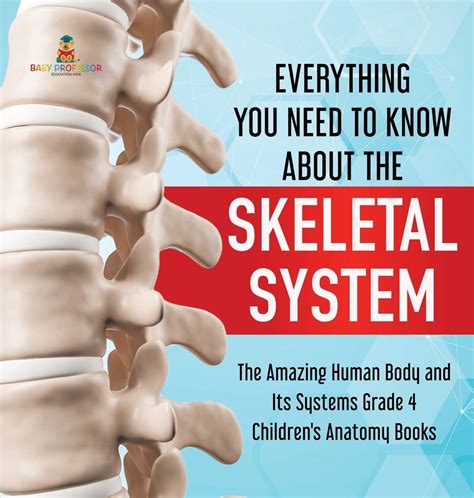 Buy Everything You Need to Know About the Skeletal System | The Amazing ...