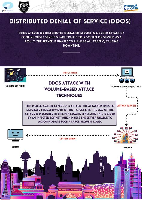 DDoS Script 的图像结果
