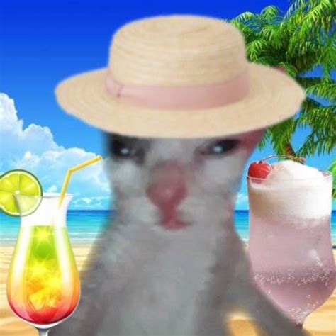 Image result for S8 Script Example