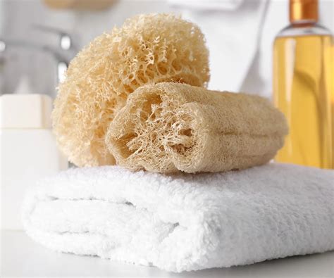 How To Use A Loofah | Storables