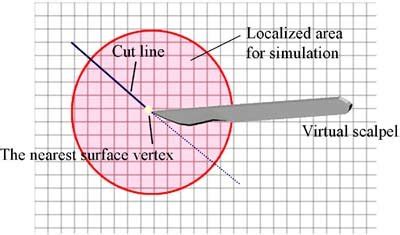 Dynamic Cellular Localization Chart 的图像结果