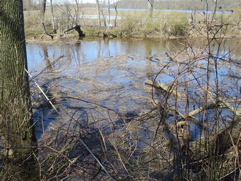 Moorestown Tourism (2024): All You Need to Know Before You Go